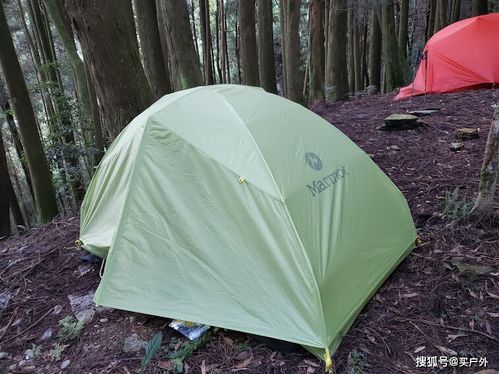 露营帐篷开箱,一款来自美国的土拨鼠Marmot三人帐篷体验