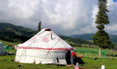 在西藏路边白色帐篷,别瞎进 驴友 进去容易出来难